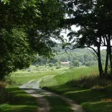 Preservation Park