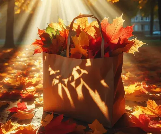 Bag of leaves
